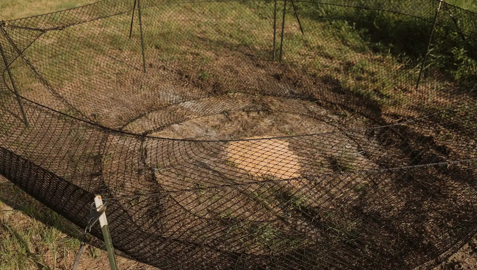 Copy of MKP_HOGEYETRAPS-558