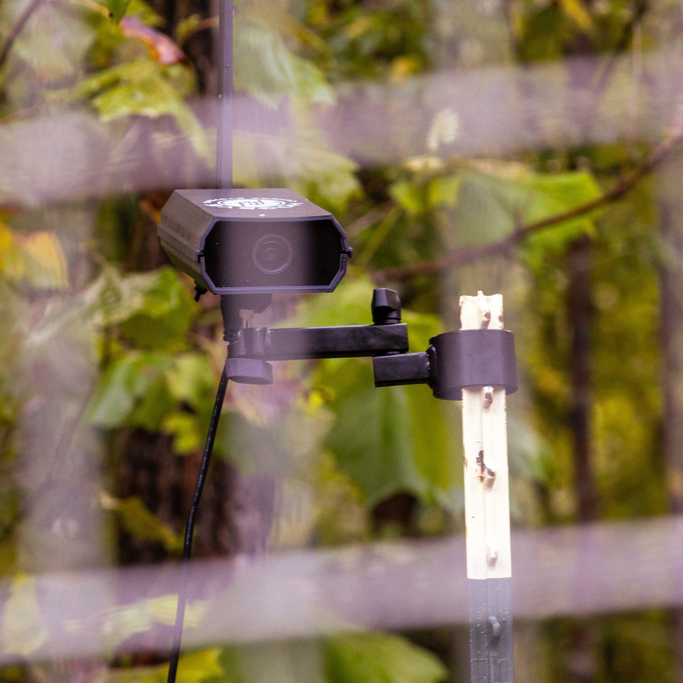 HogEye camera mounted on a pole with a trap in the background
